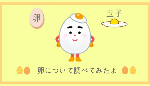卵と玉子の漢字の違い｜サイズ・赤卵・栄養・有精卵と無精卵・双子